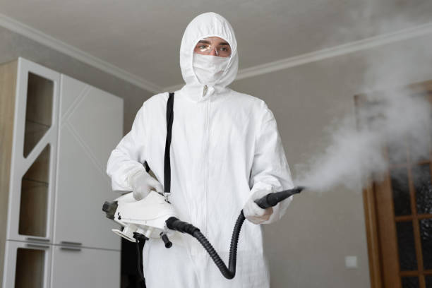 Best Basement Mold Removal  in Fall River, WI